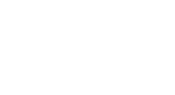  My Mountain Cabin Rentals of North Georgia